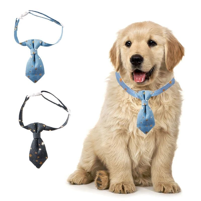 Dog Collar for Small Medium Dog Star Adjustable