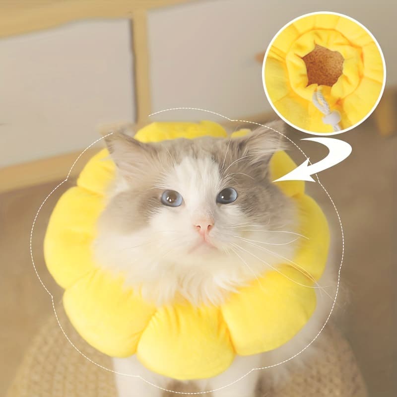 Small Dog Recovery Collar Sunflower Cone Post-Surgery