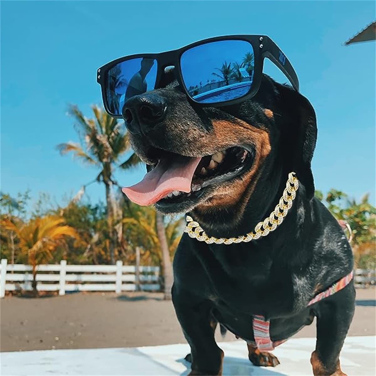 Dog Collar Crystal Cuban-Link